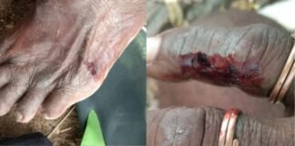వరంగల్ పోలీస్ కమిషనరేట్ పరిధిలో దాడి