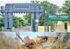 కేయూలో ప్రభుత్వ ఆస్తులు స్క్రాప్గా విక్రయం..?